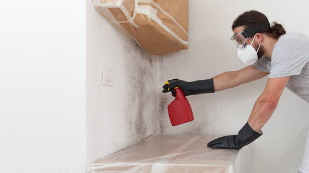 Professional Bathroom Mold Removal technician working in Hallieford, VA