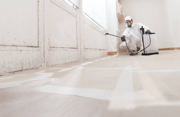 24/7 Emergency Bathroom Mold Removal experts in Hallieford, VA
