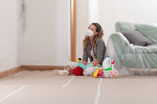 Trusted Mold Removal service in Hallieford, VA - Cheap Mold Removal