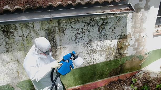 Trusted Commercial Mold Remediation service in Hallieford, VA - Cheap Mold Removal